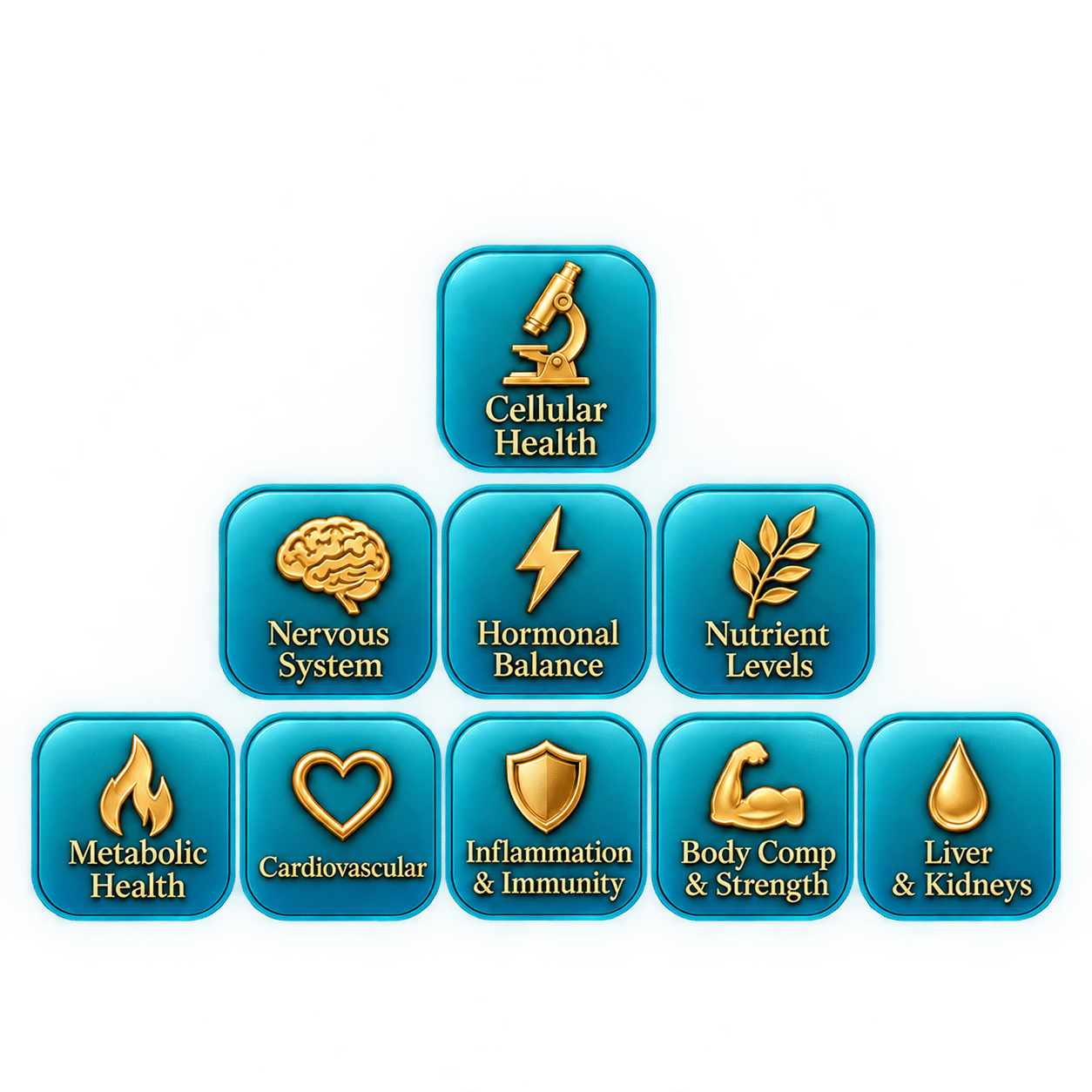 Gold Runar runes representing Pro membership